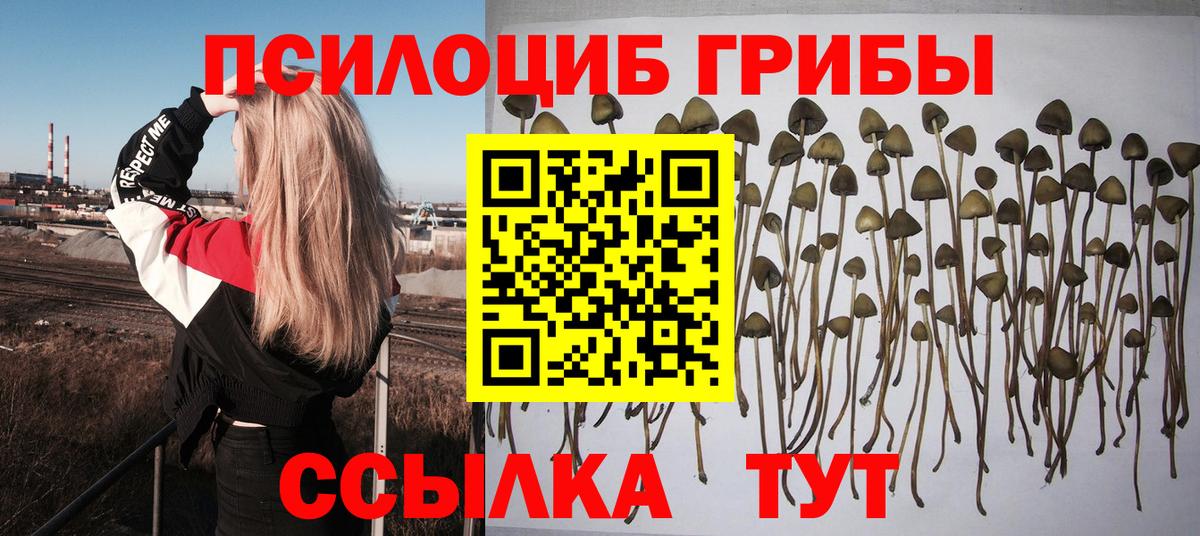 Галлюциногенные грибы мицелий Чапаевск