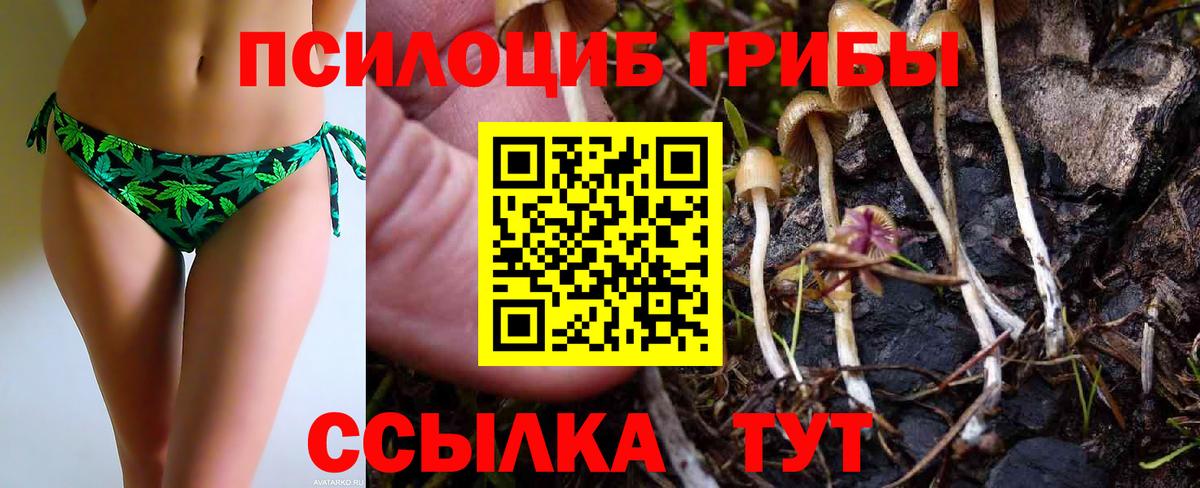 Чапаевск  Псилоцибиновые грибы Psilocybine cubensis  Галлюциногенные грибы GOLDEN TEACHER  Вход с VPN 